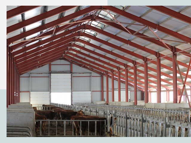 Строительство коровников в Фрязино