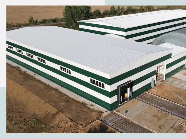 Строительство овощехранилищ в Фрязино