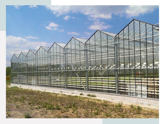 Строительство теплиц в Фрязино от 623 руб. за м²