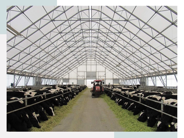 Тентовые коровники в Фрязино от 623 руб. - Надежно и доступно