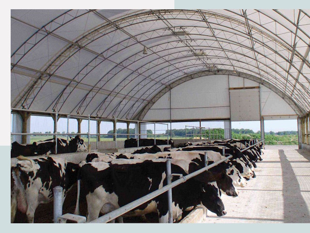 Тентовые коровники в Фрязино
